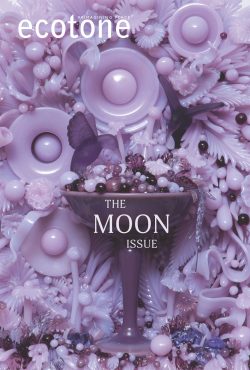 Cover for Issue 37