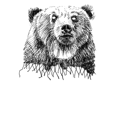 sketch drawing of a bear head f
